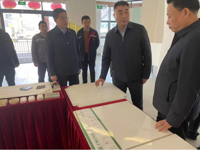 靈石縣委書記韓軍等領(lǐng)導(dǎo)節(jié)后蒞臨達辰新材指導(dǎo)工作